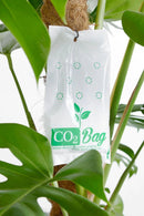 Co2 Bag