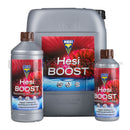 HESI Boost