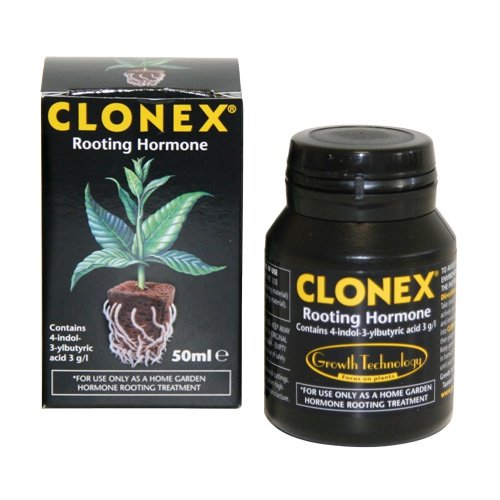 Clonex 50ml