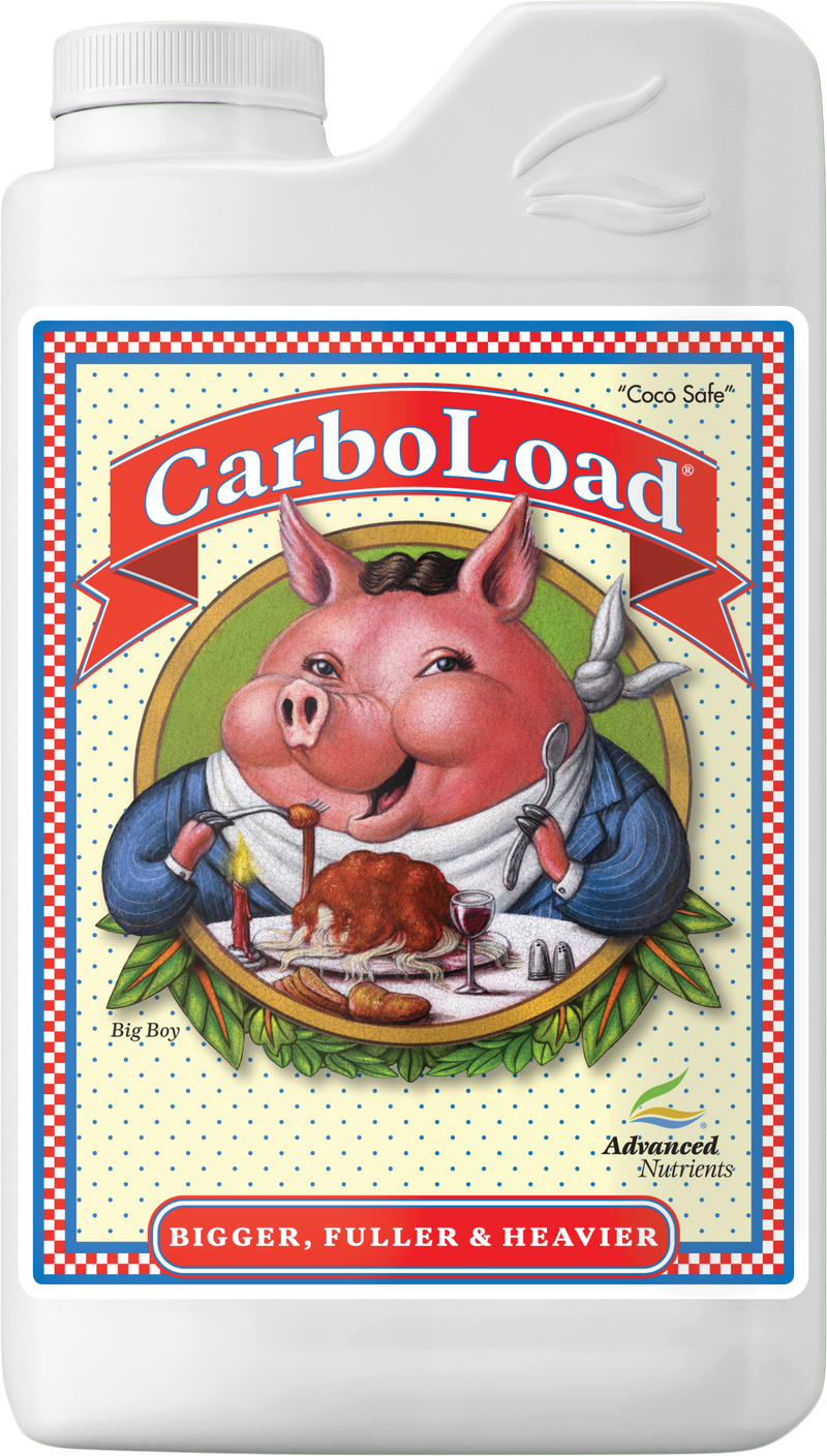 AN  CarboLoad 1 L